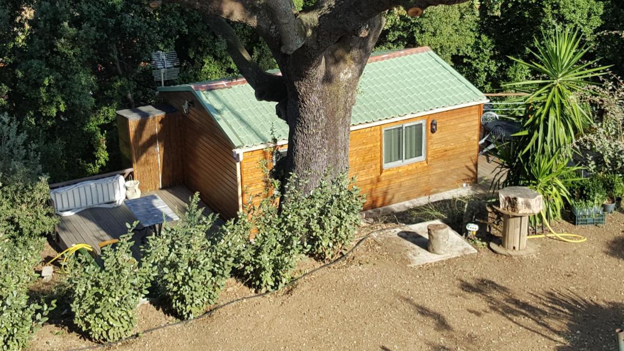 Le Petit Chalet Porticcio  Bagian luar foto