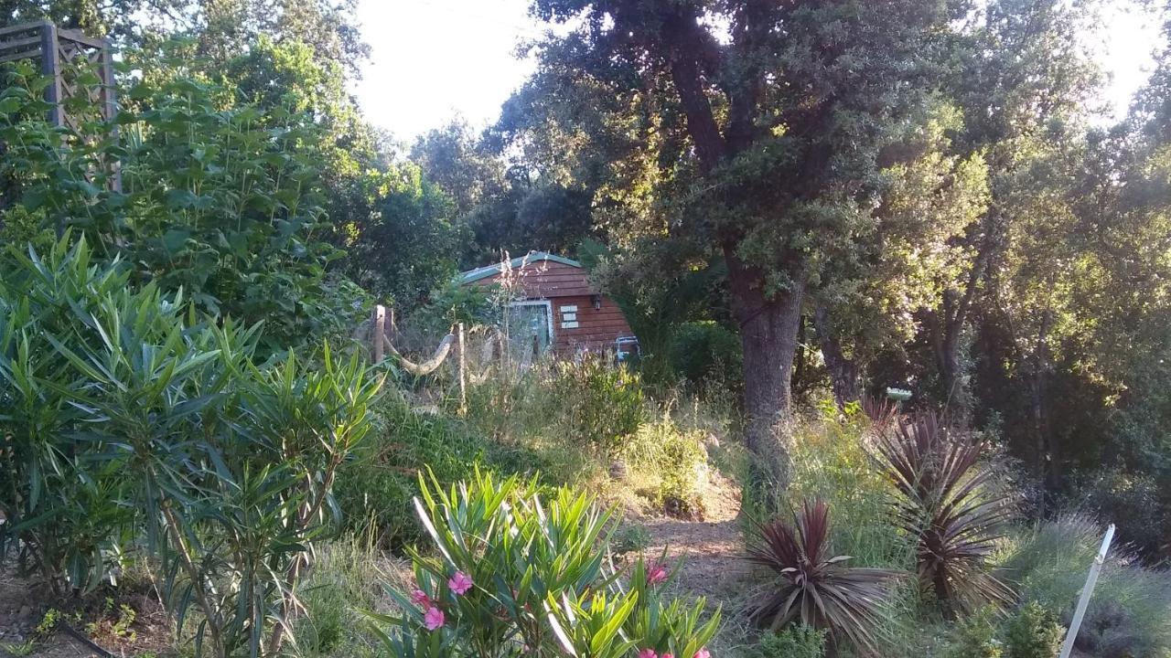 Le Petit Chalet Porticcio  Bagian luar foto